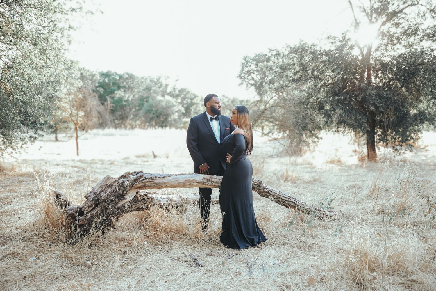 Elegant couple in formal attire pose together on fallen tree trunk in rustic outdoor setting with olive trees.