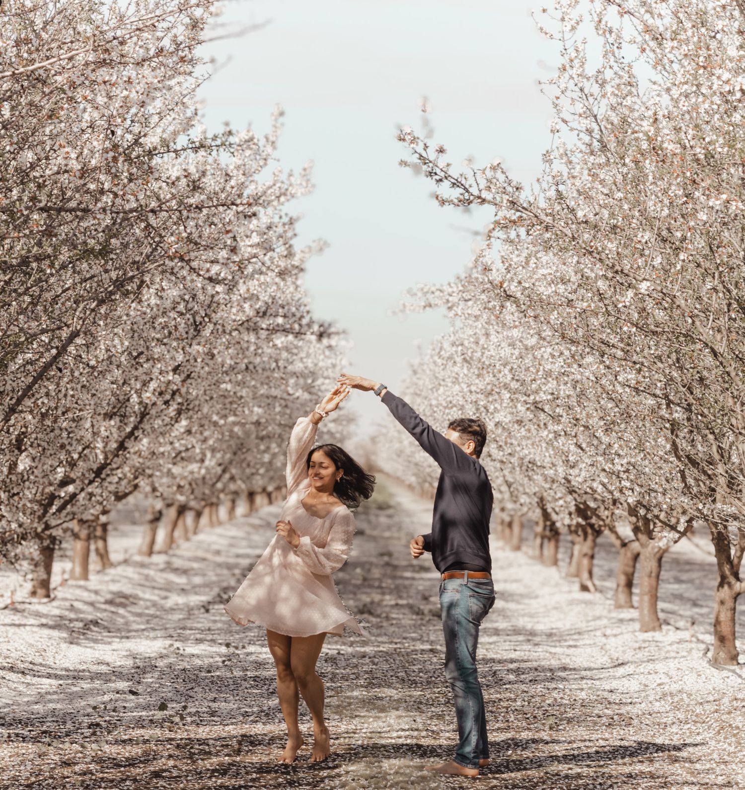 Dancing couple in a romantic spring almond orchard with blooming white trees along a path.