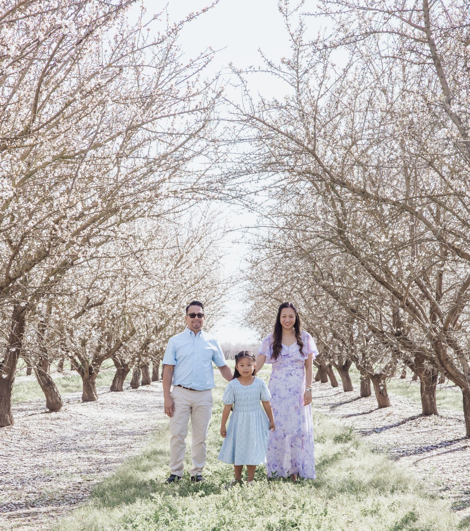 A family walks together through a blooming almond orchard with soft white blossoms on a sunny spring day.