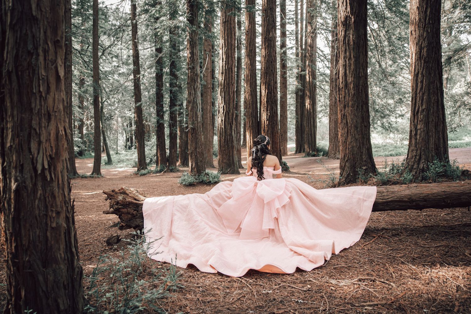 Faceless pre‑quince detail shot in the Oakland Redwoods showing dress and forest textures