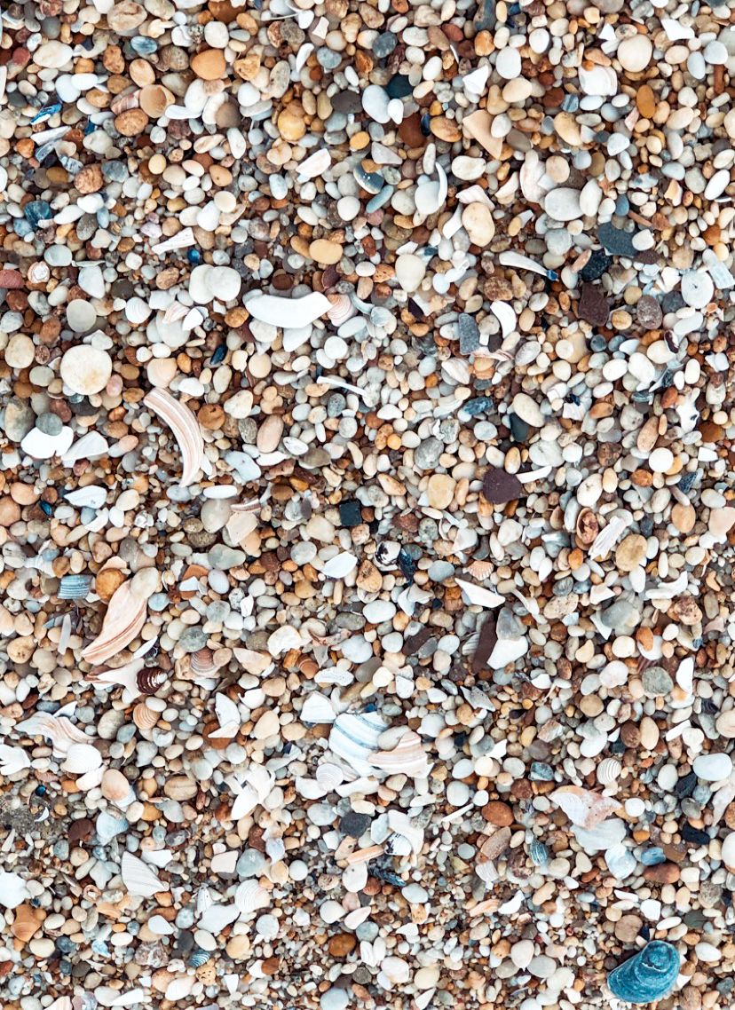 A close-up of colorful beach pebbles and broken seashells scattered on sandy shore.