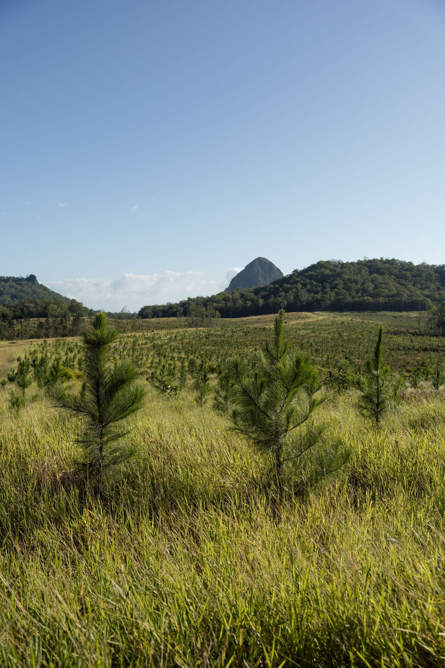 Sweeping vista of grassy fields with mountain peaks rising in the background.