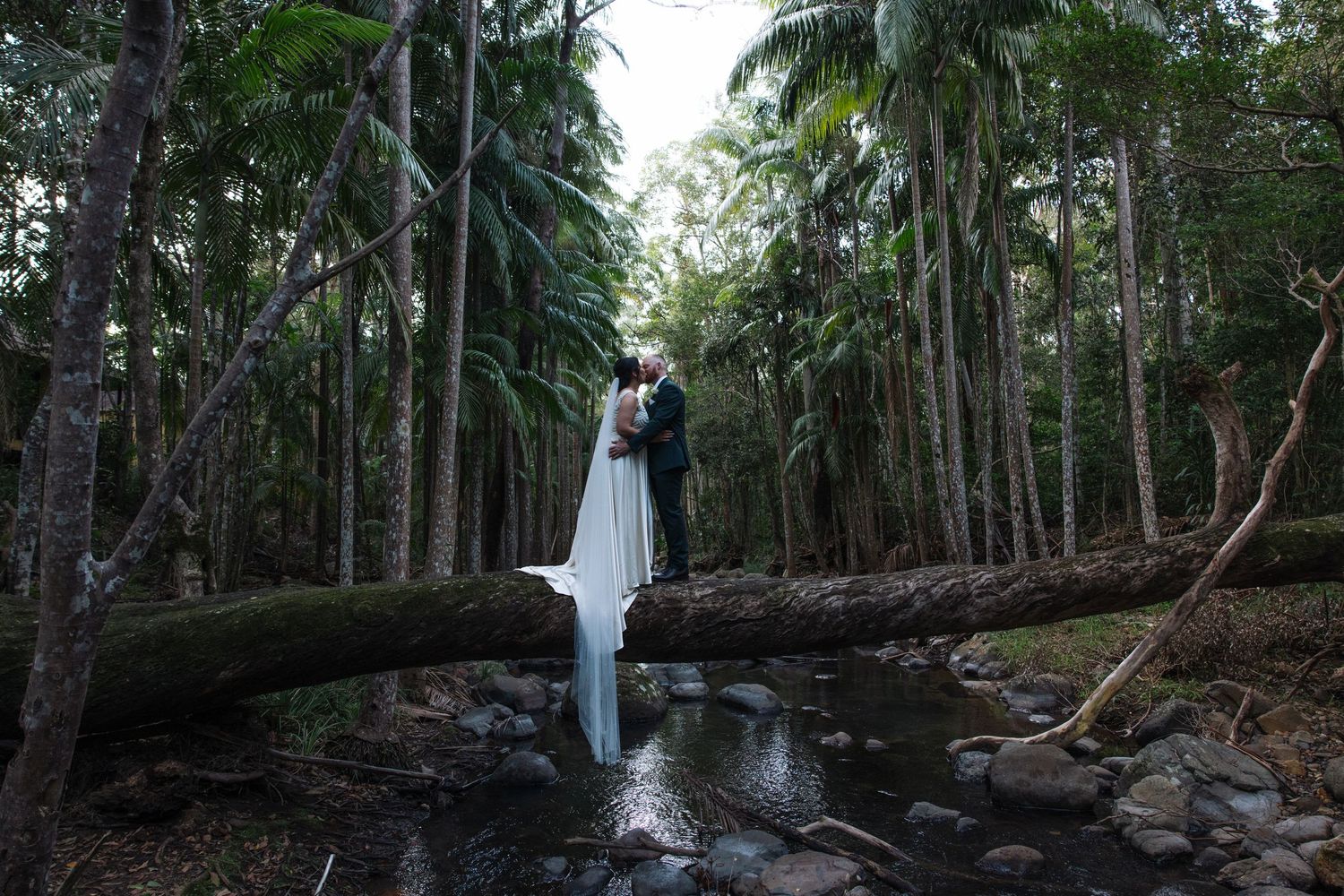 Wedding couple poses in a moody tropical forest setting with palm trees and rocks.