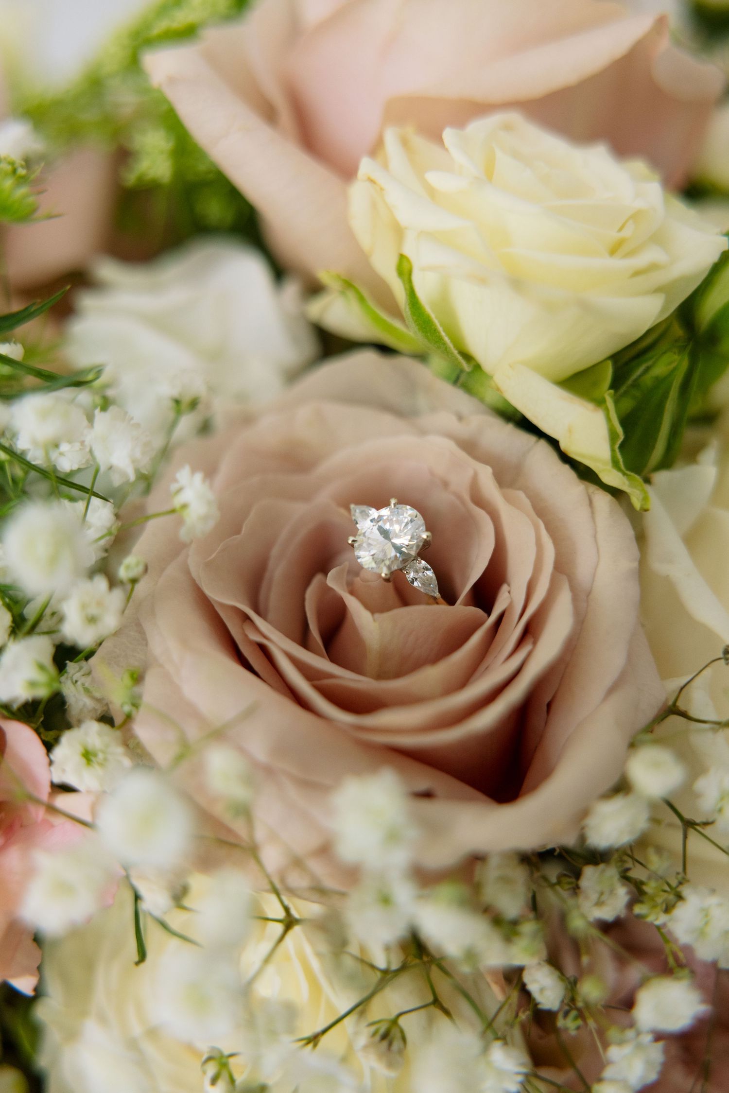 Close-up of blush pink roses with baby's breath in a romantic wedding bouquet.