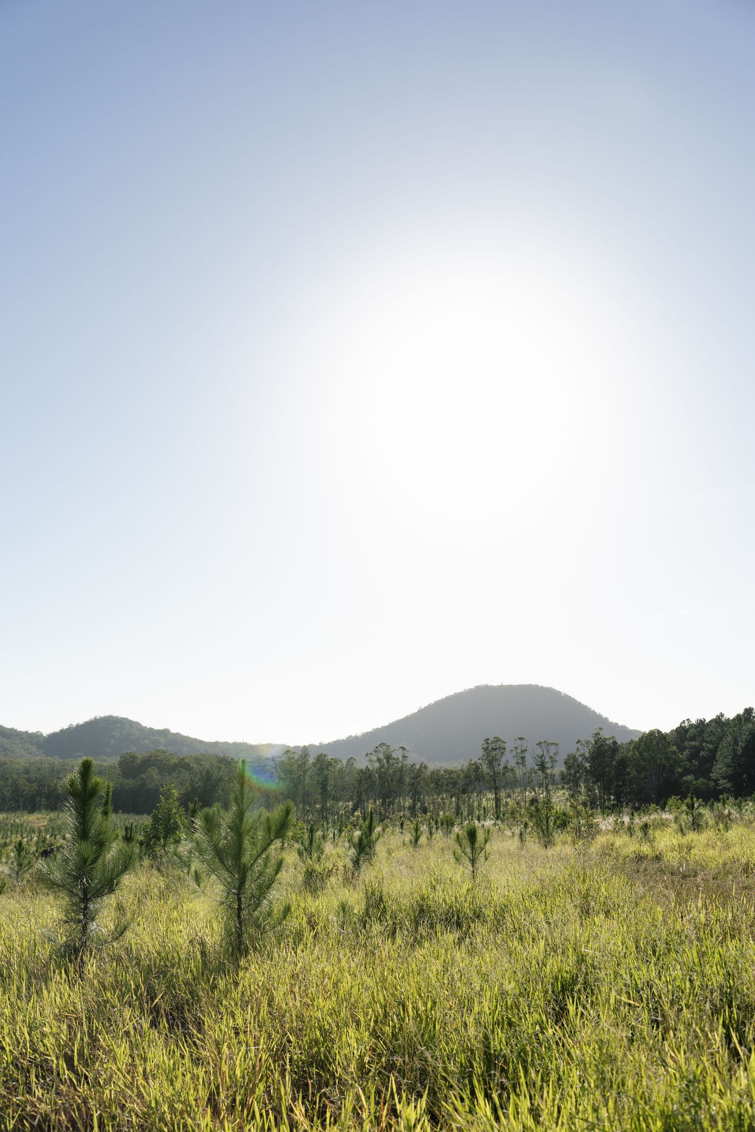 Scenic landscape with mountains and grassland under bright blue sky.