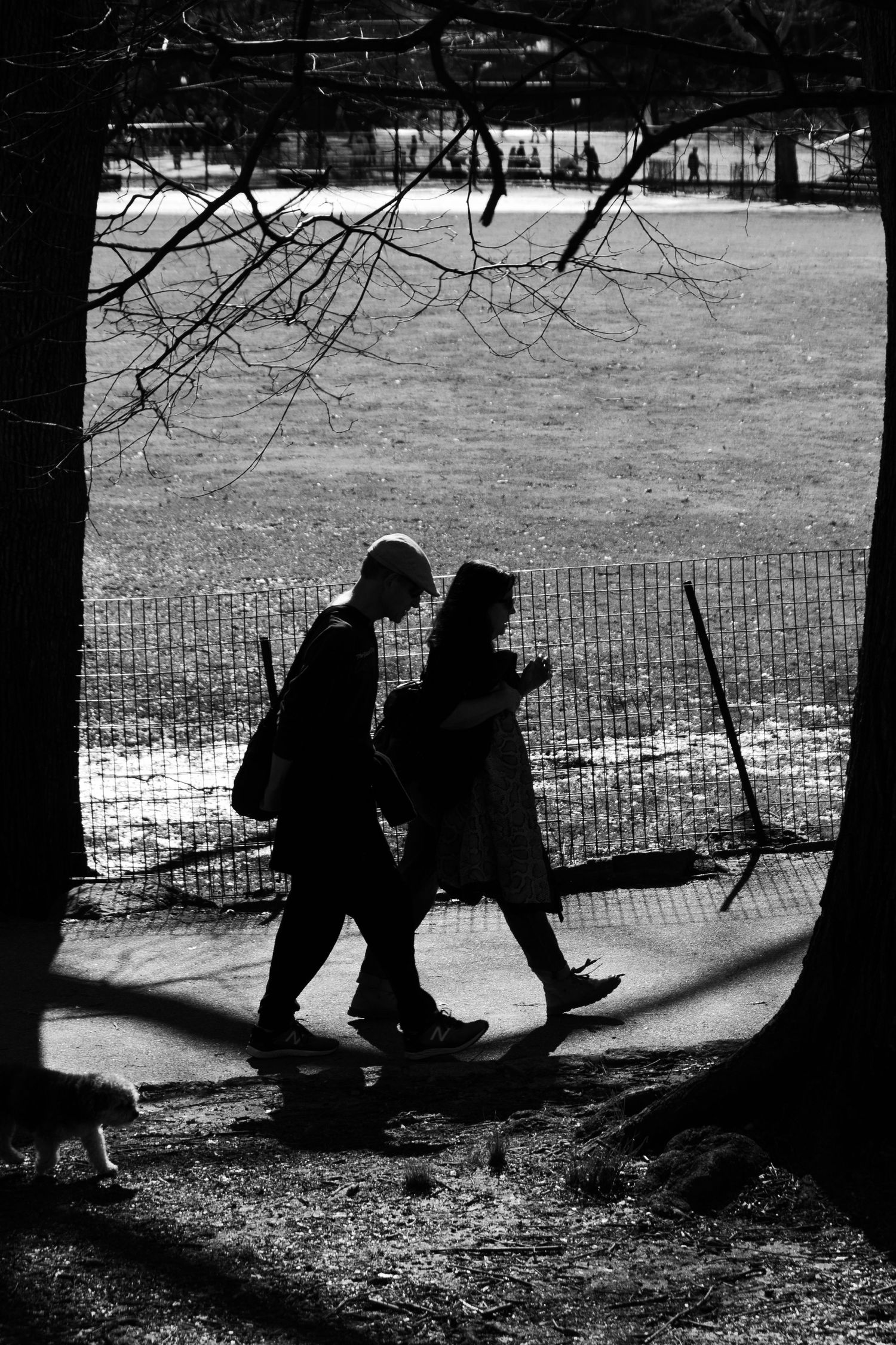 Digital photograph of a couple walking framed by trees in Central Park