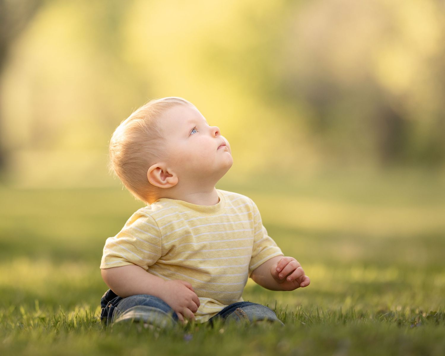 Sweet baby boy in yellow shirt sitting on grass looking up curiously in a sunny park.