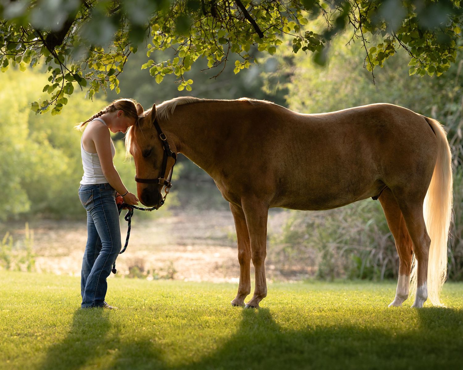 Woman in white top and jeans sharing a tender moment with a brown horse under a tree.