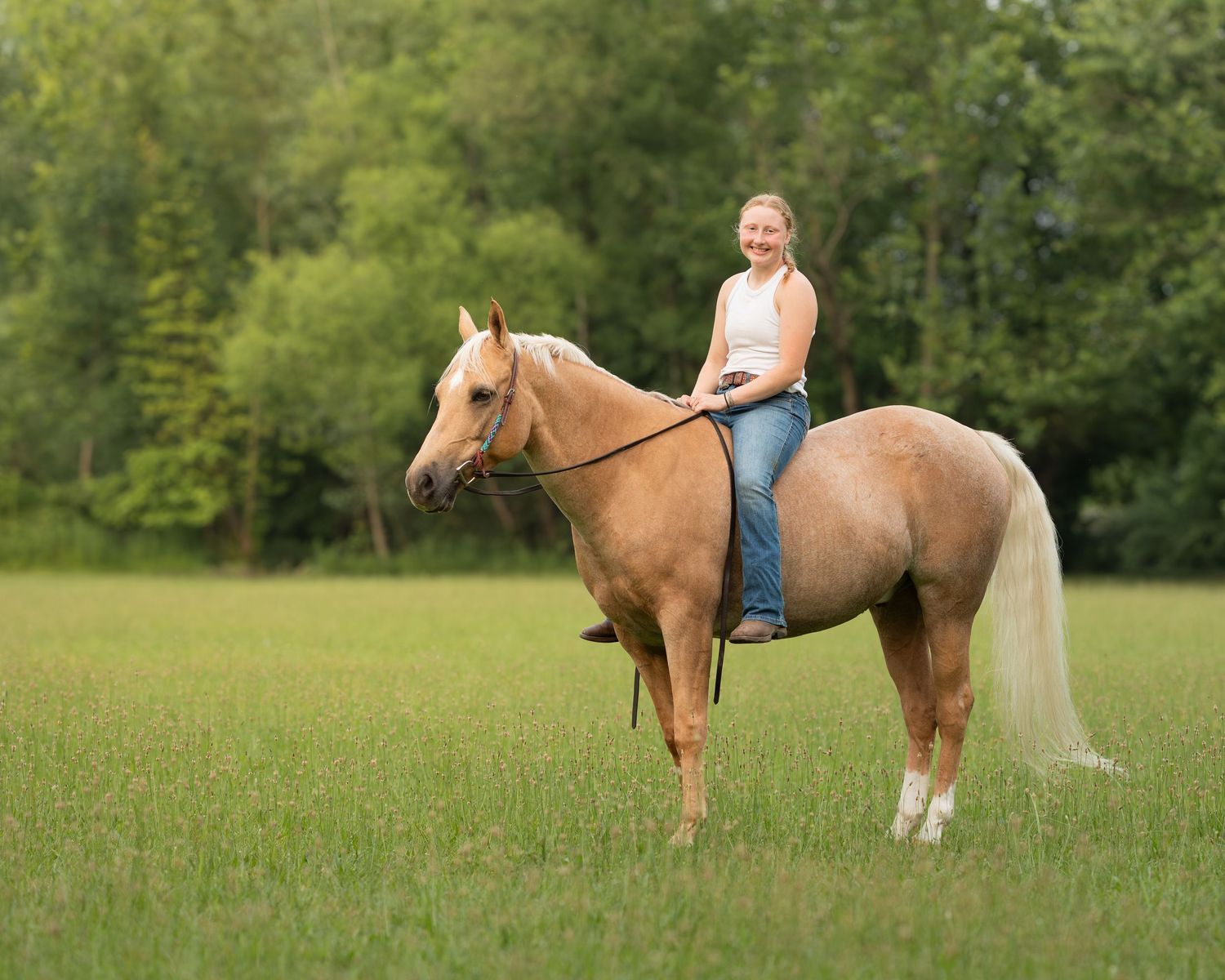 Horse and rider in field, equine photography