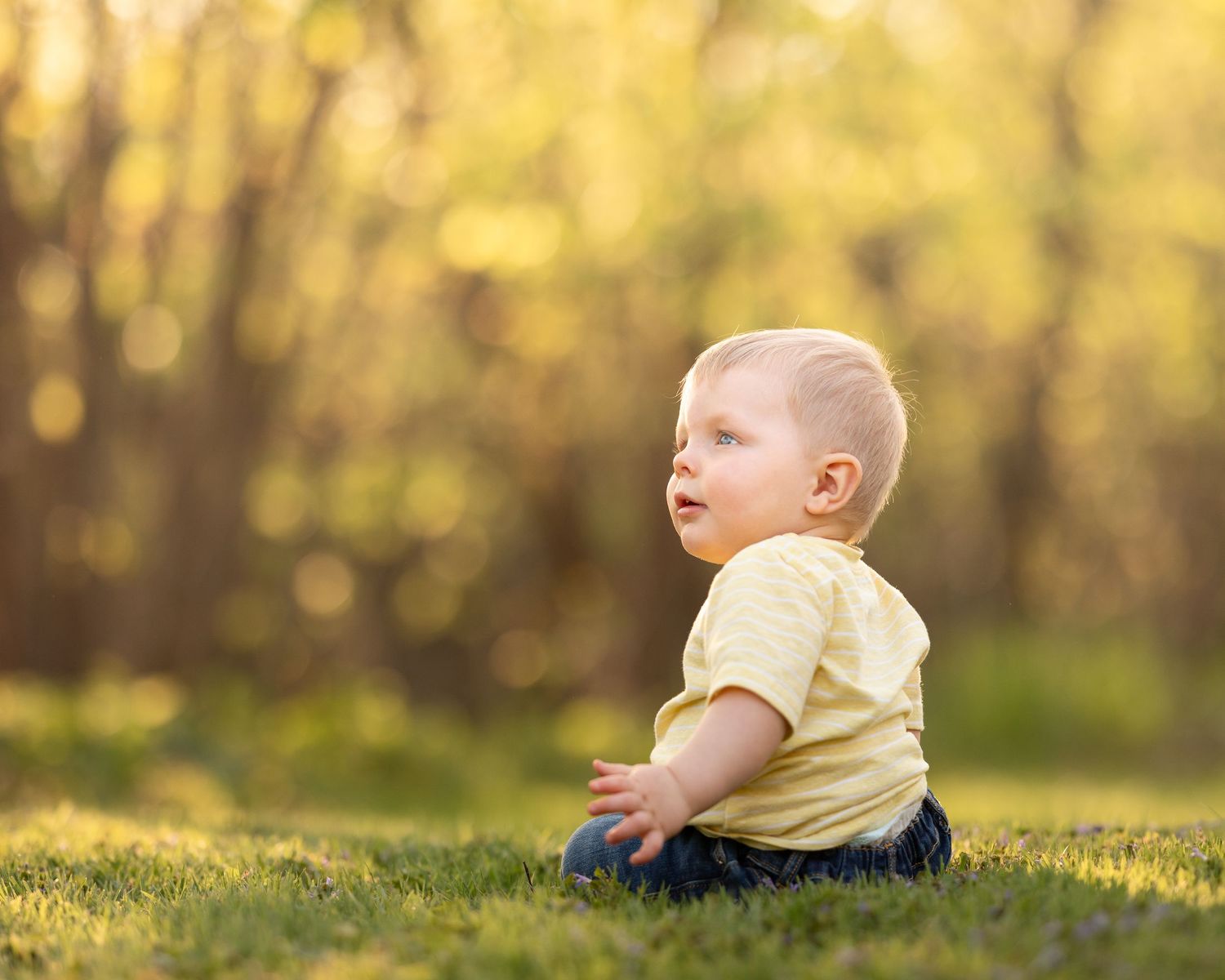Cute baby boy in yellow shirt sitting on grass gazing sideways in a warm sunlit park.