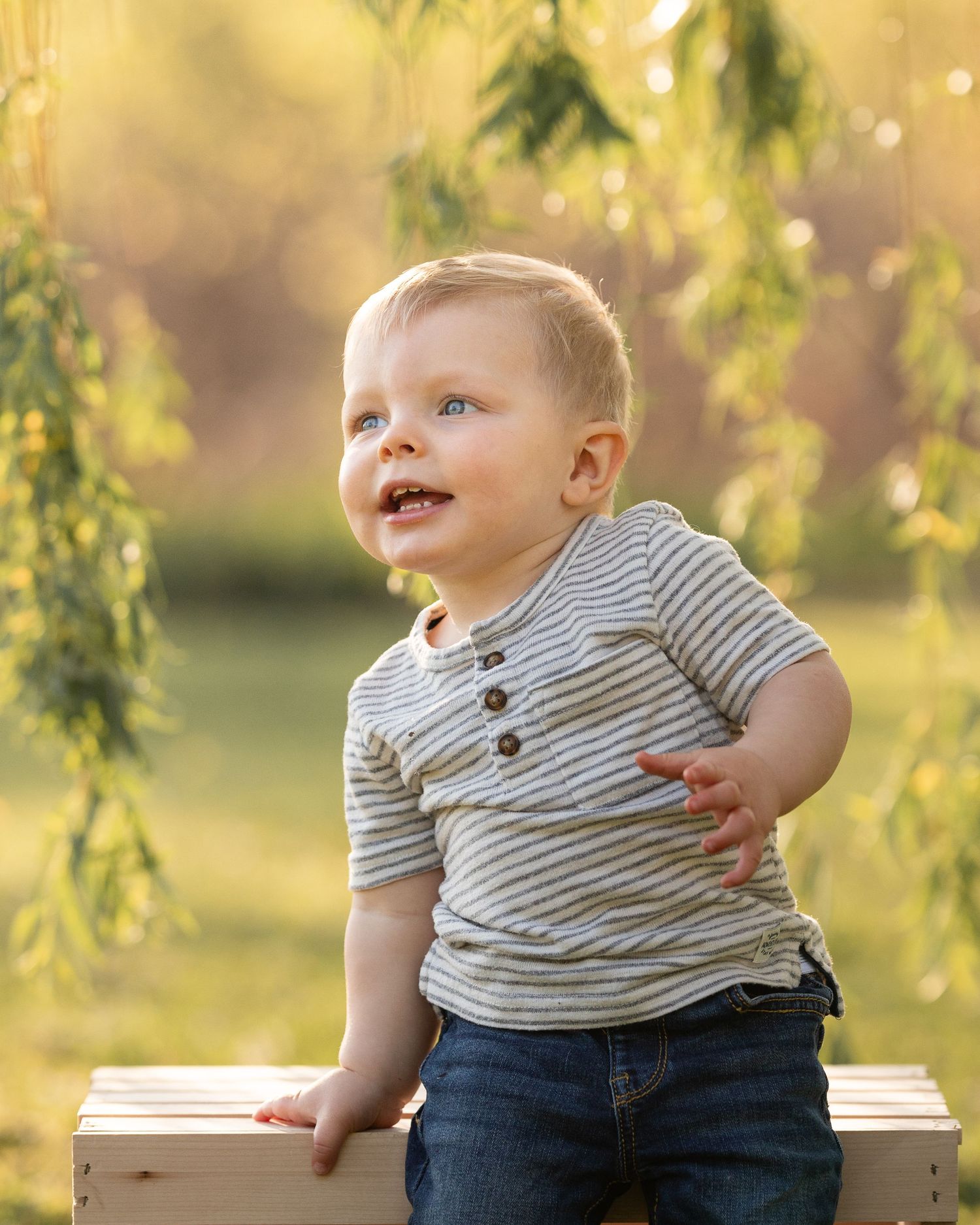 Cheerful toddler boy in striped shirt sitting on a wooden crate under weeping willow branches.