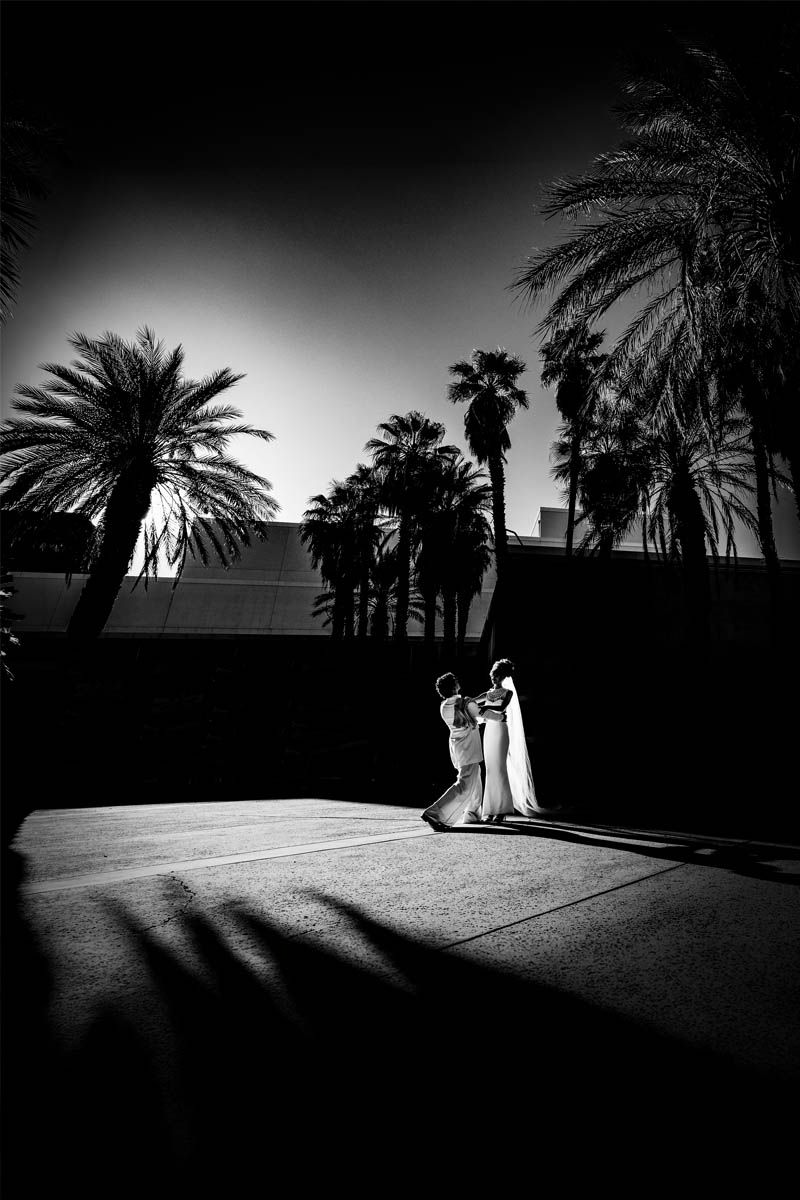 Black and white wedding photo with palm tree silhouettes creating dramatic contrast.
