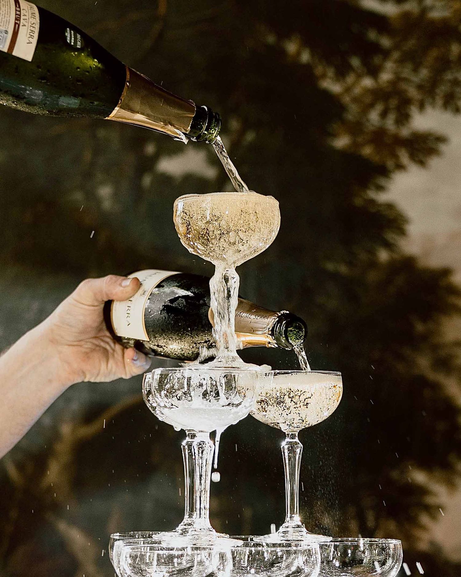Borrel met champagnetoren en proosten op trouwdag
