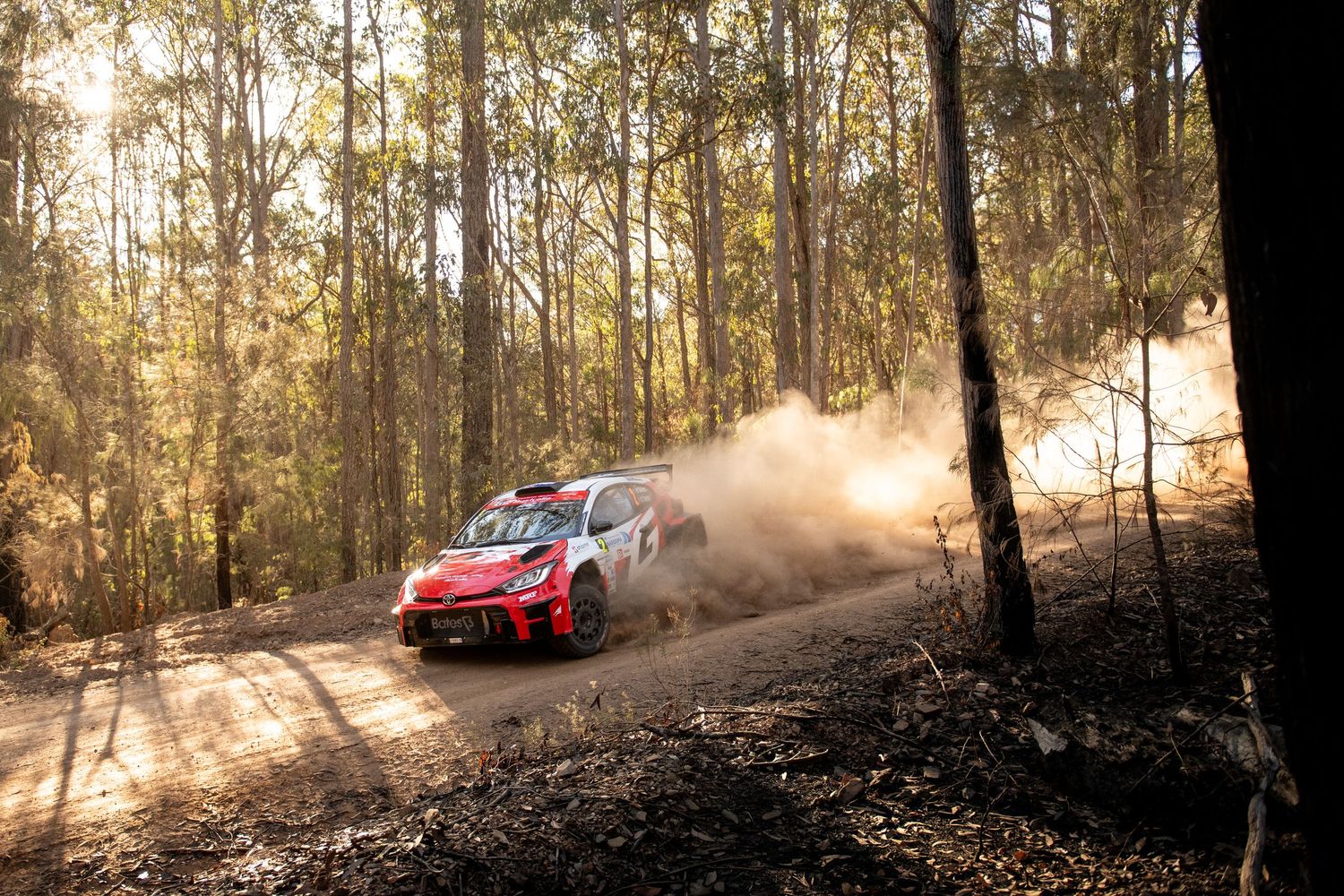 Rally