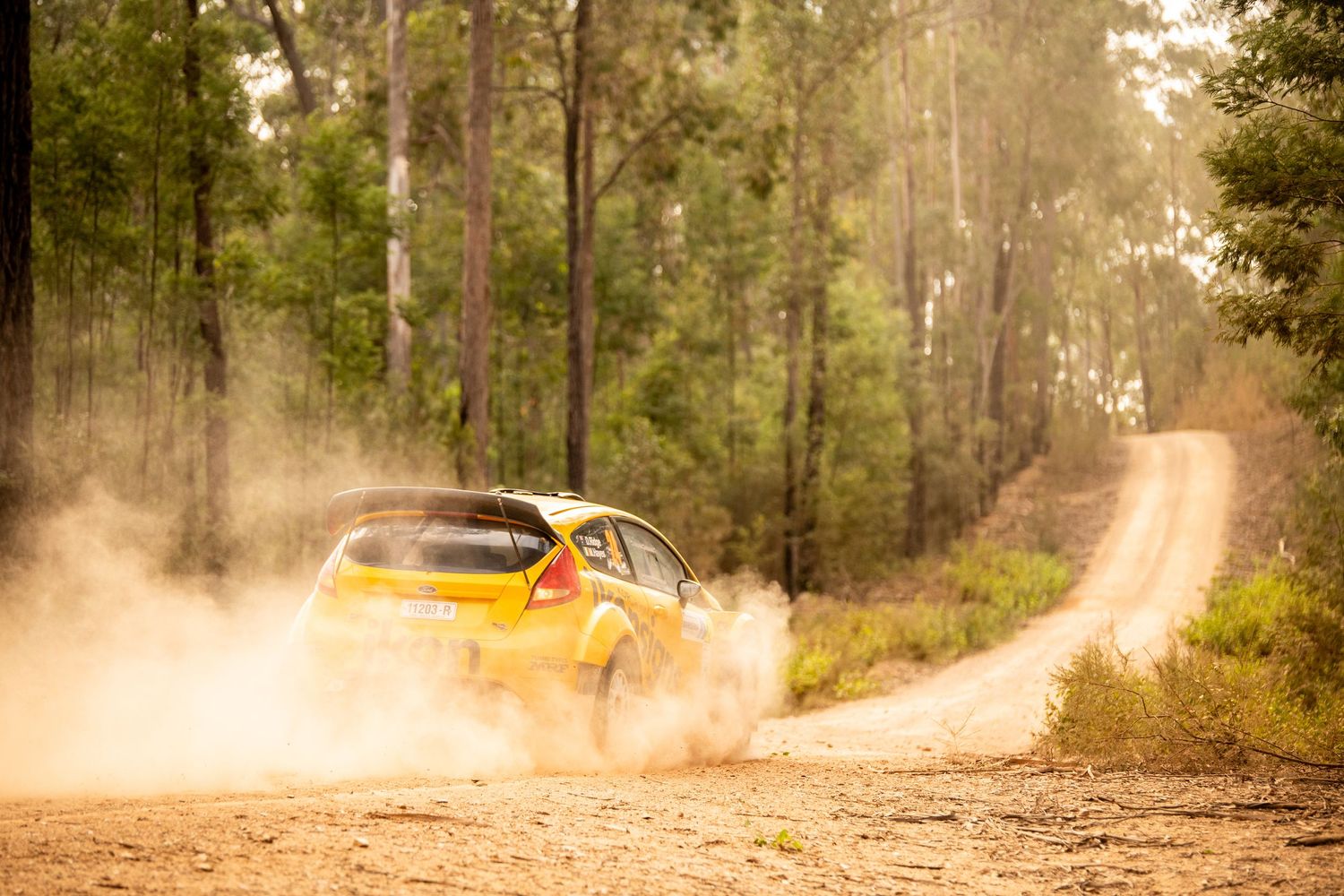 Rally