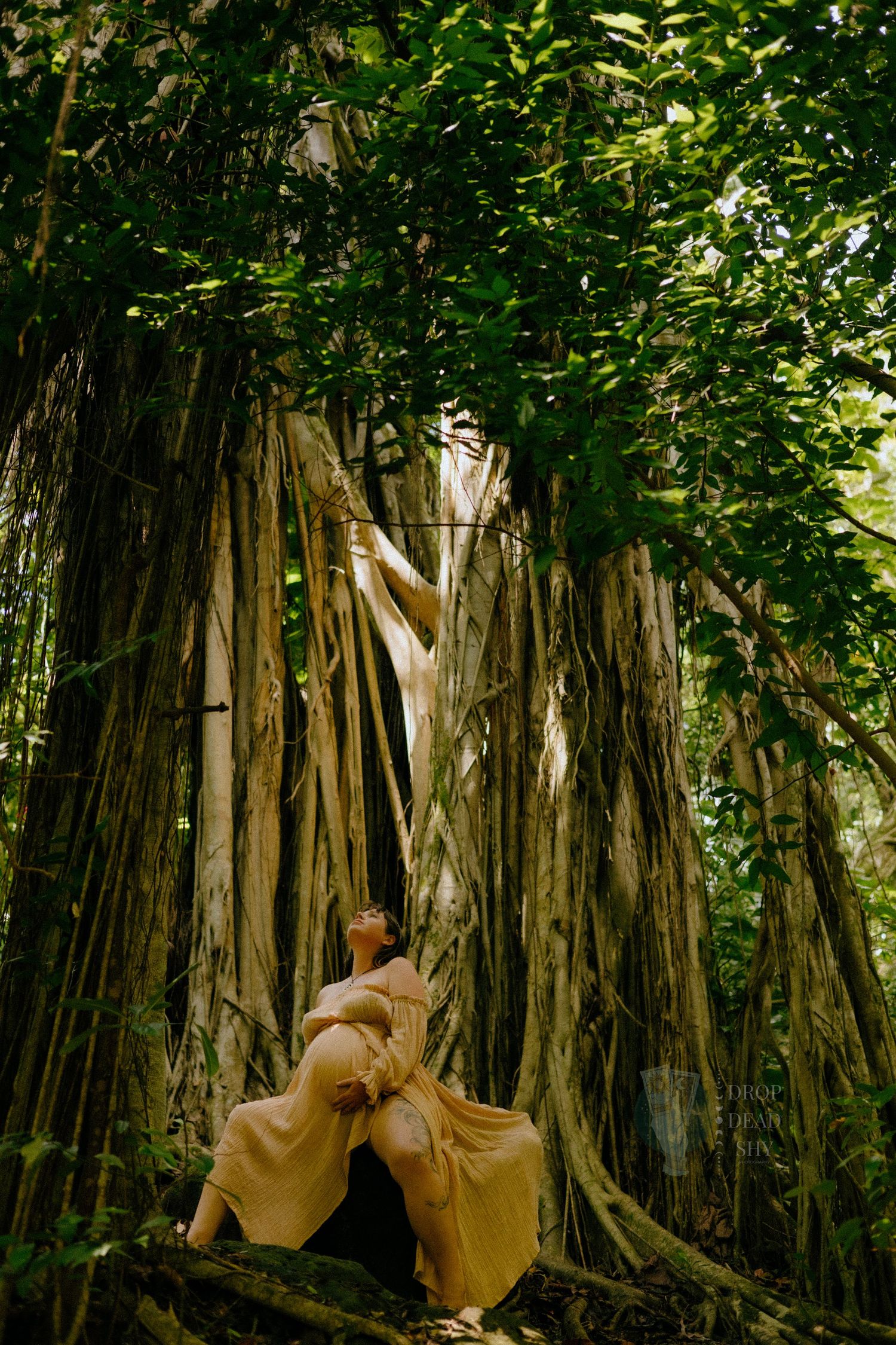 Pregnant woman in golden dress sitting at base of massive banyan tree looking upward.