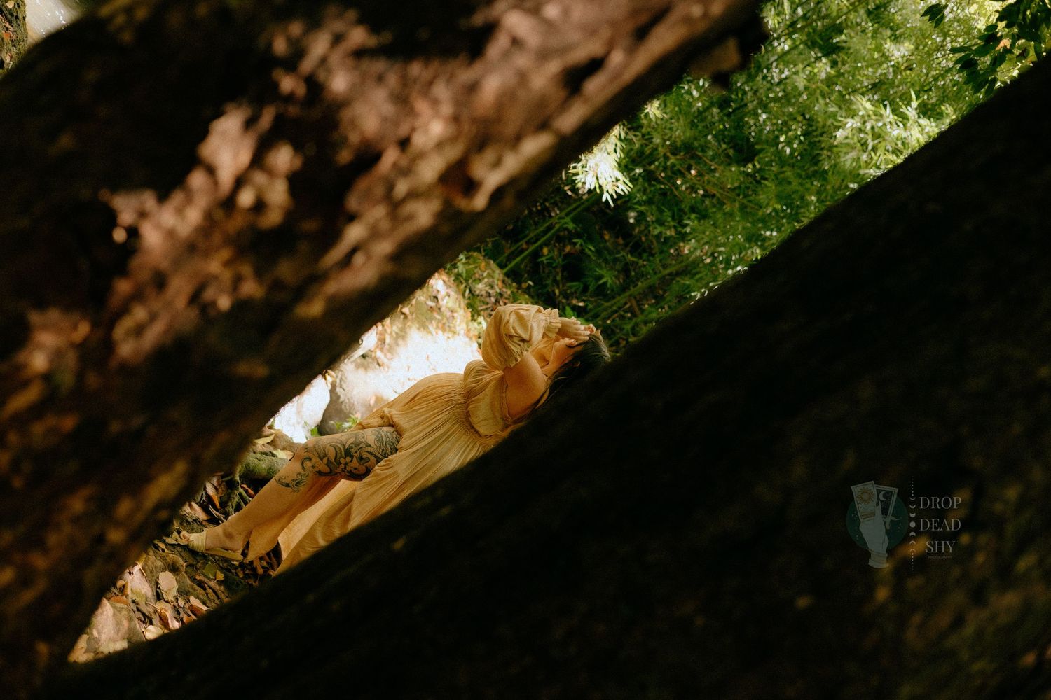 Woman in yellow dress resting between large tree trunks in a sunlit forest setting.