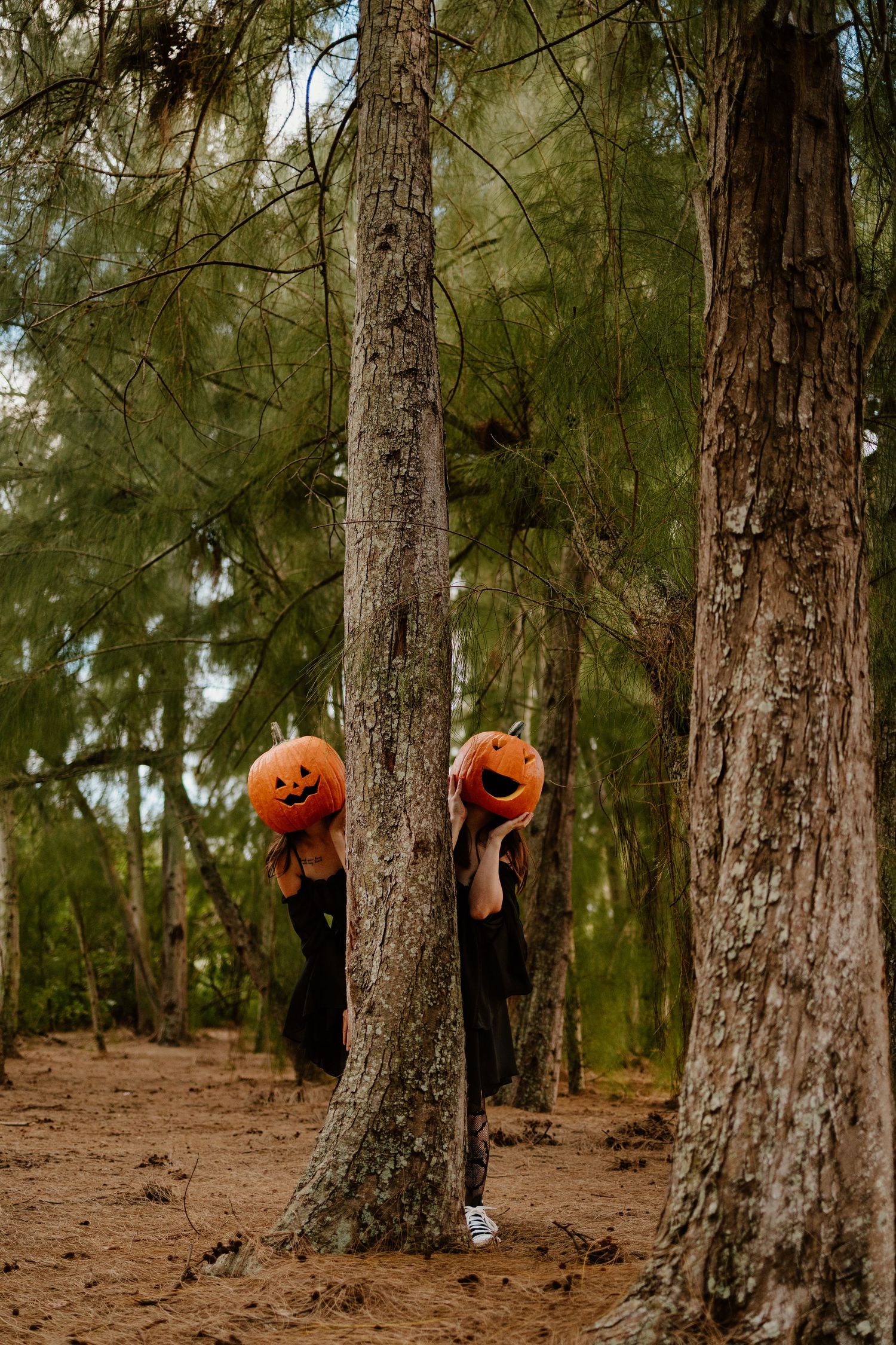 Two people in black outfits hide behind pine trees, holding glowing carved Halloween pumpkins over their heads in a sandy forest.