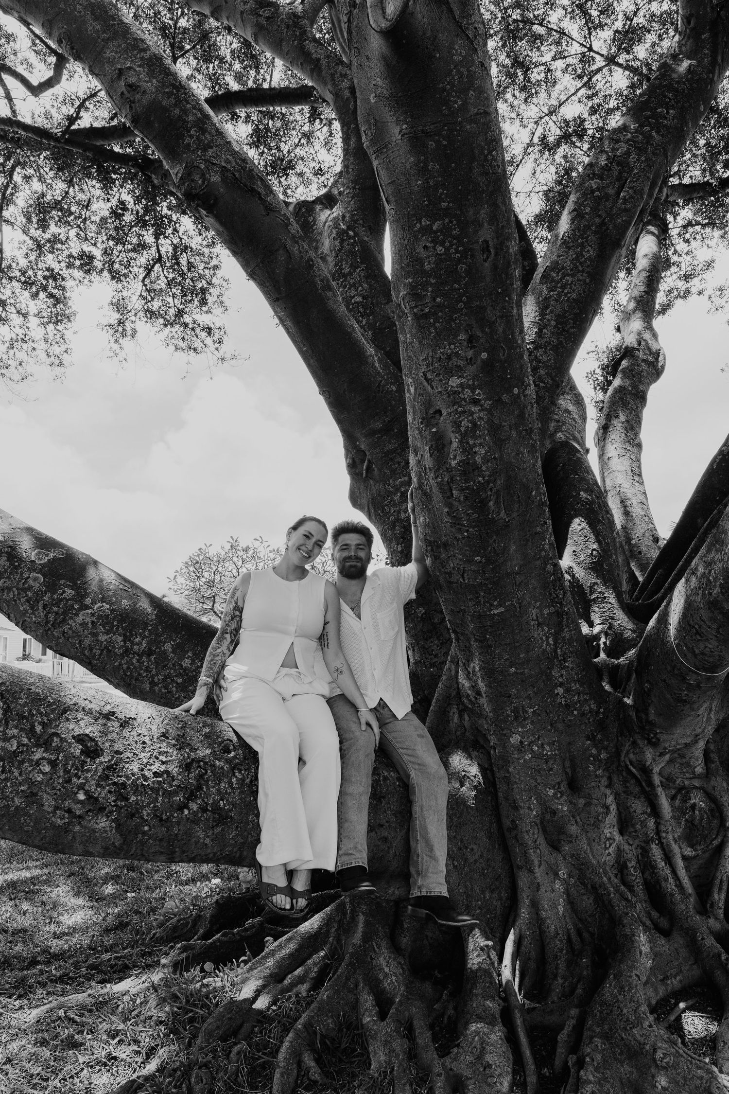 Black and white photo of couple sitting in branches of large sprawling tree outdoors.