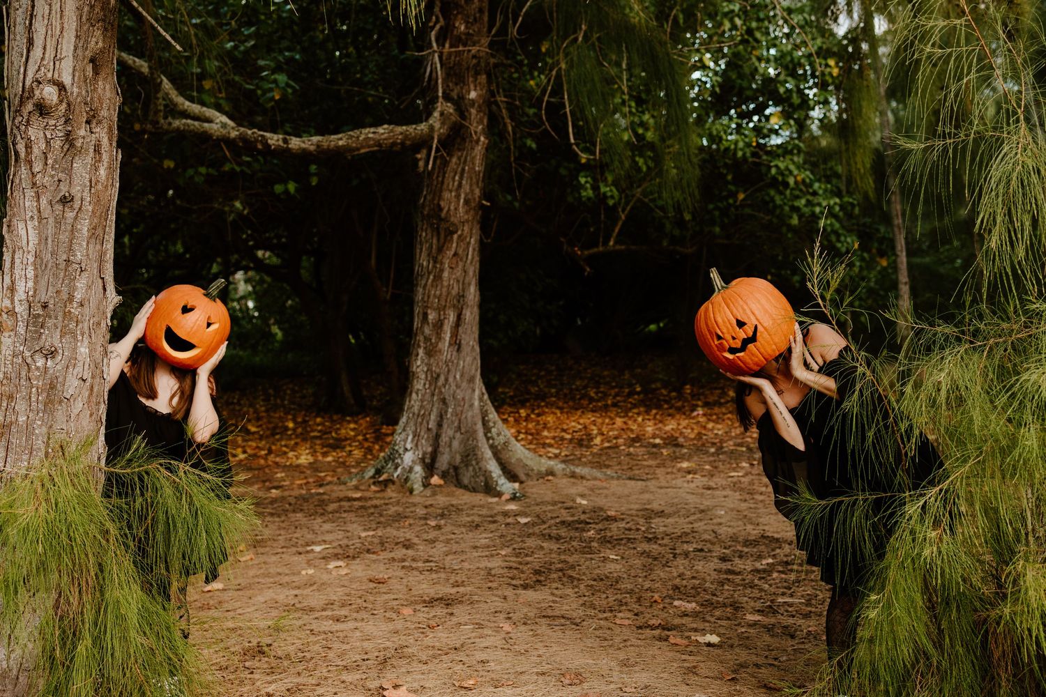 Two people in dark clothing hold carved jack-o'-lantern pumpkins over their heads in a shaded forest clearing surrounded by pine trees.