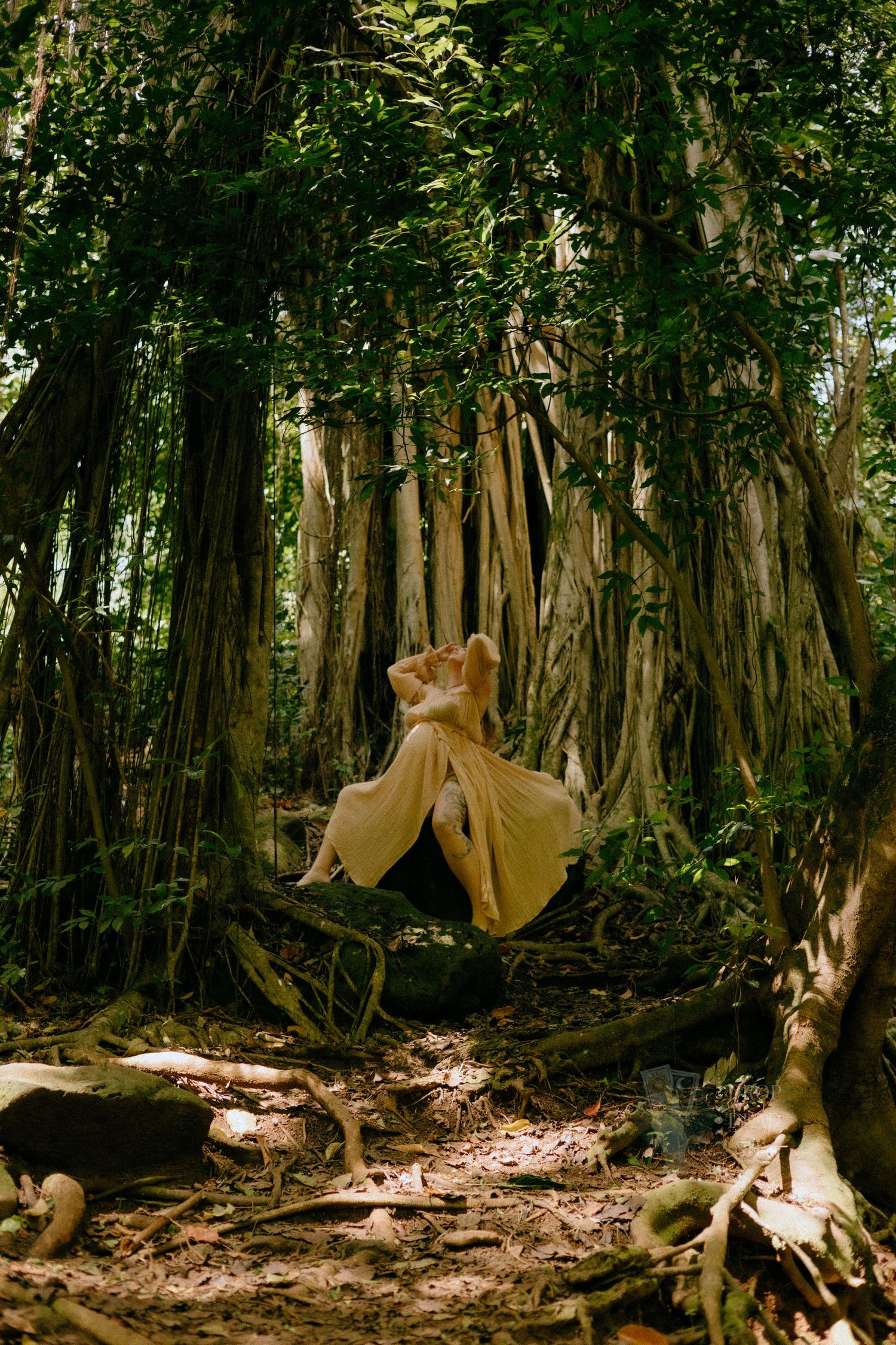 Woman in flowing golden dress dancing among large banyan tree roots in tropical forest.