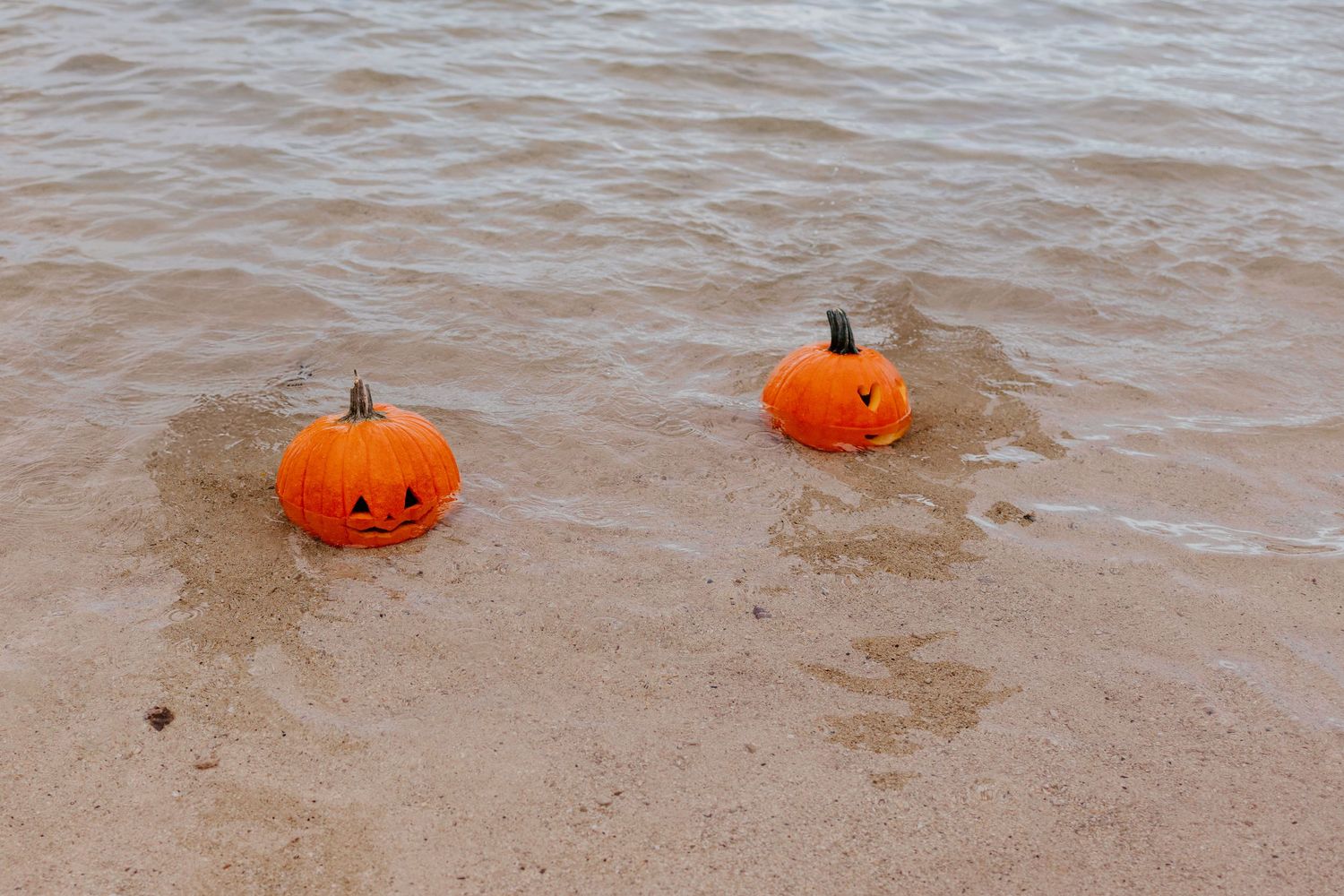 Two carved Halloween jack-o'-lantern pumpkins with faces floating in shallow water at the edge of a sandy beach.