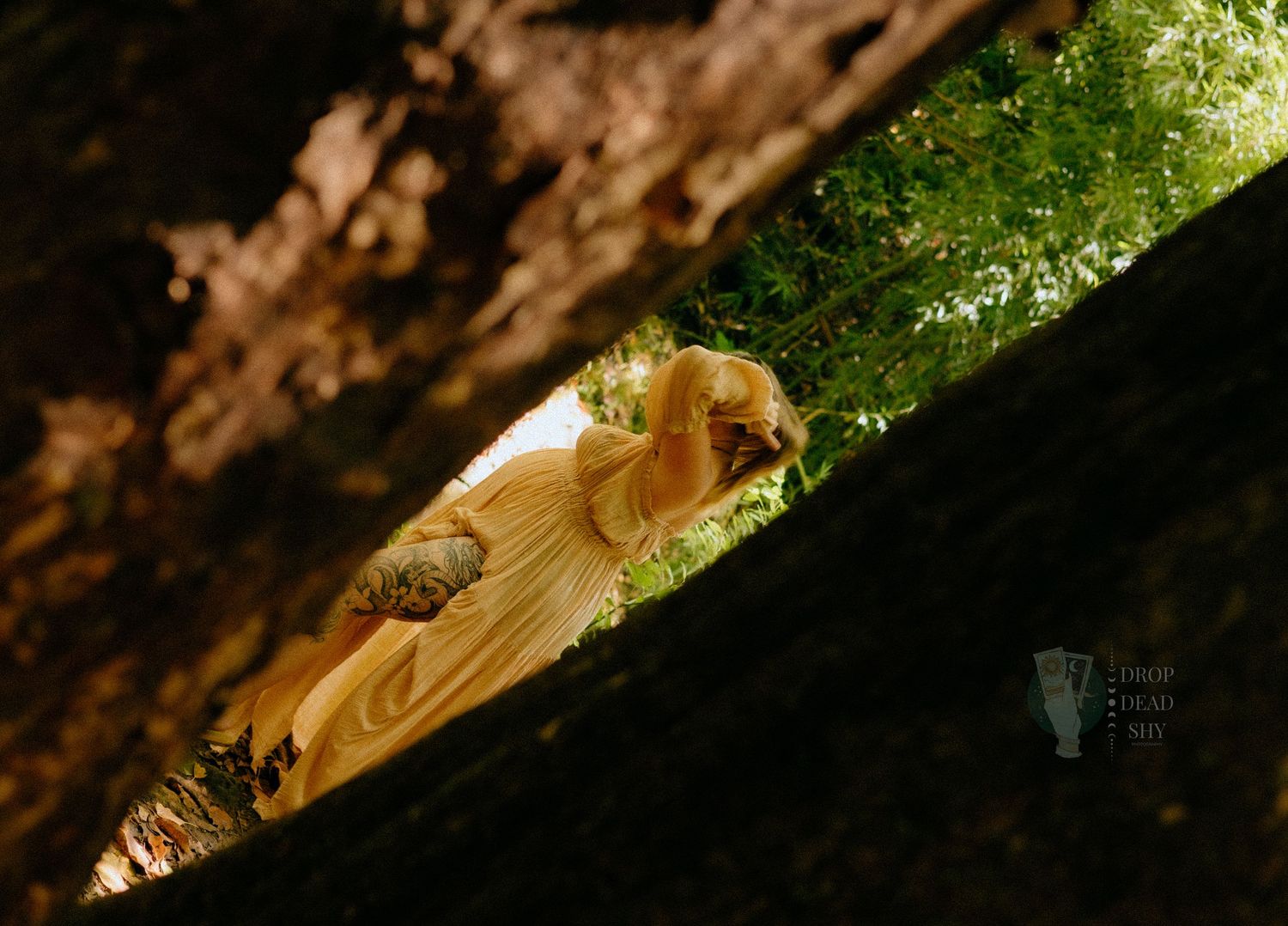 Woman in golden yellow dress lying between tree trunks surrounded by green forest foliage.