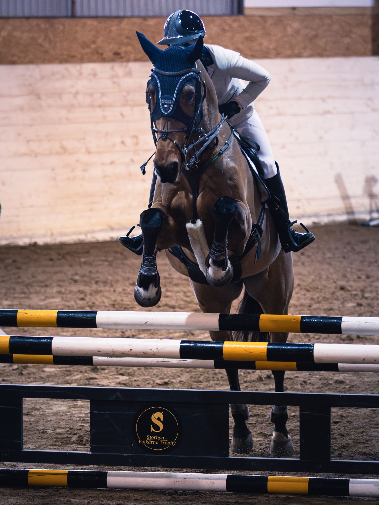 Close-up shot of a horse jumping over yellow and black striped poles during an equestrian competition.