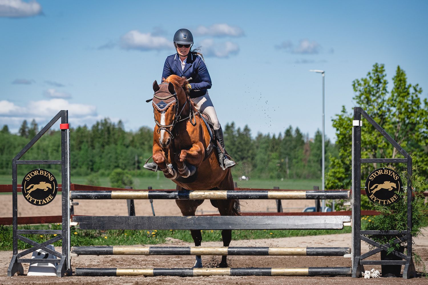 Equestrian rider on chestnut horse jumping over colorful show jump poles in outdoor competition arena.