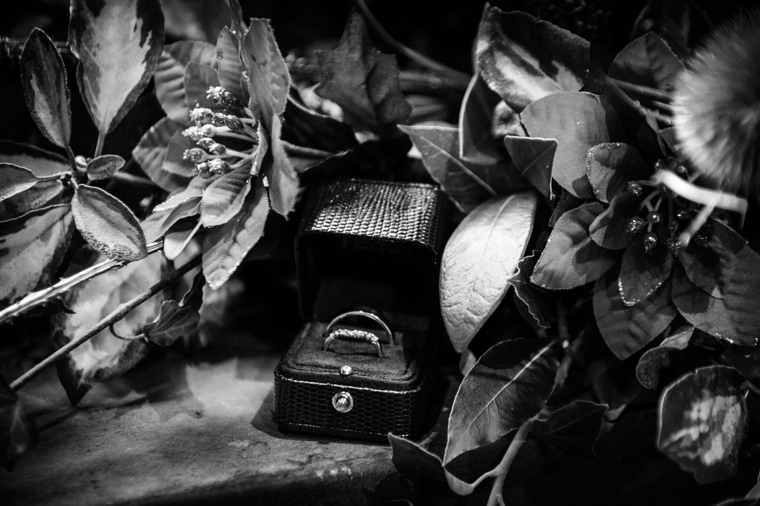 Black and white close-up of a wedding ring in an elegant jewelry box nestled among tropical leaves.