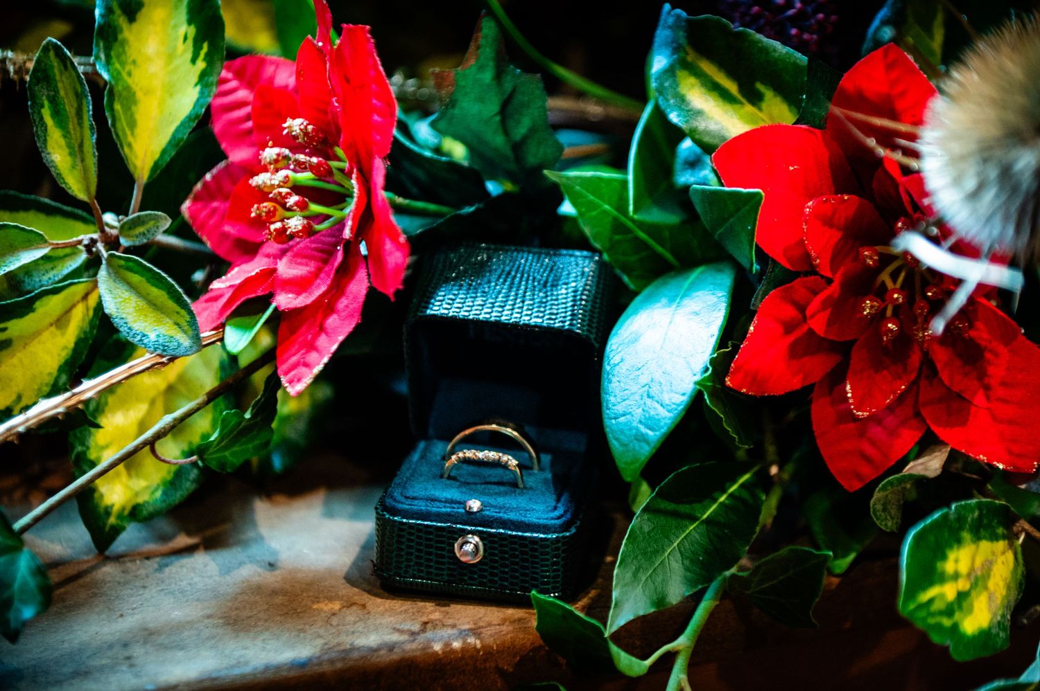 Gold wedding ring in a black velvet box surrounded by vibrant red flowers and lush green leaves.
