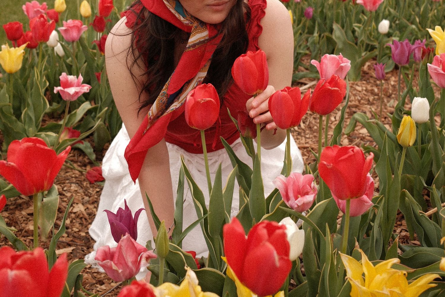 Woman in red and white outfit crouching among colorful tulips in a vibrant flower garden.