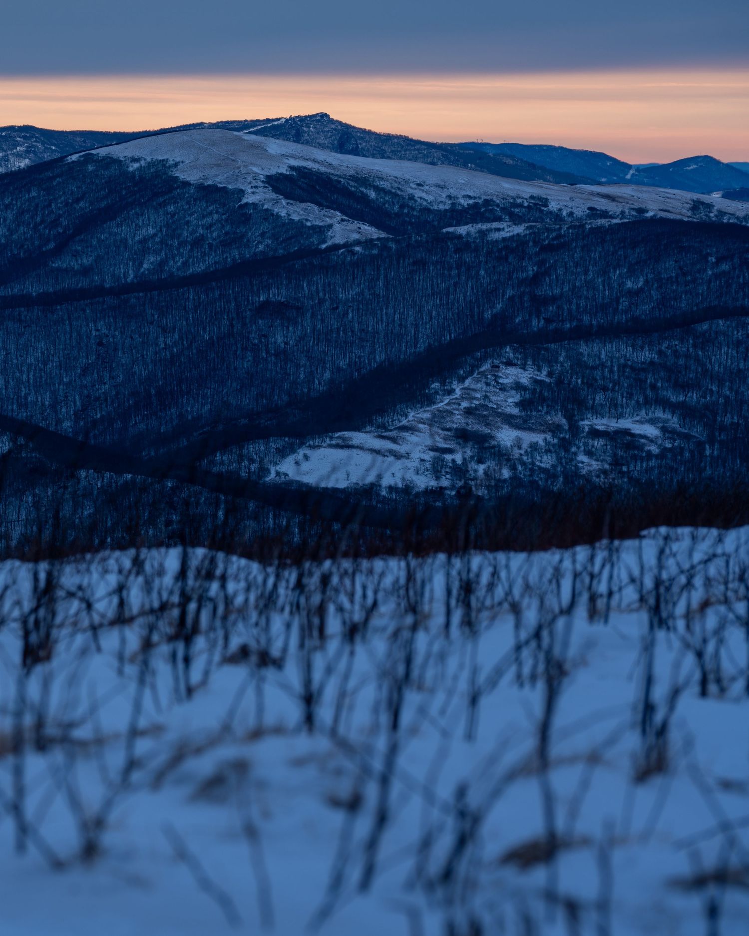 Snow-covered mountain landscape at dusk with dark forested slopes and a warm pink sunset glow on the horizon.