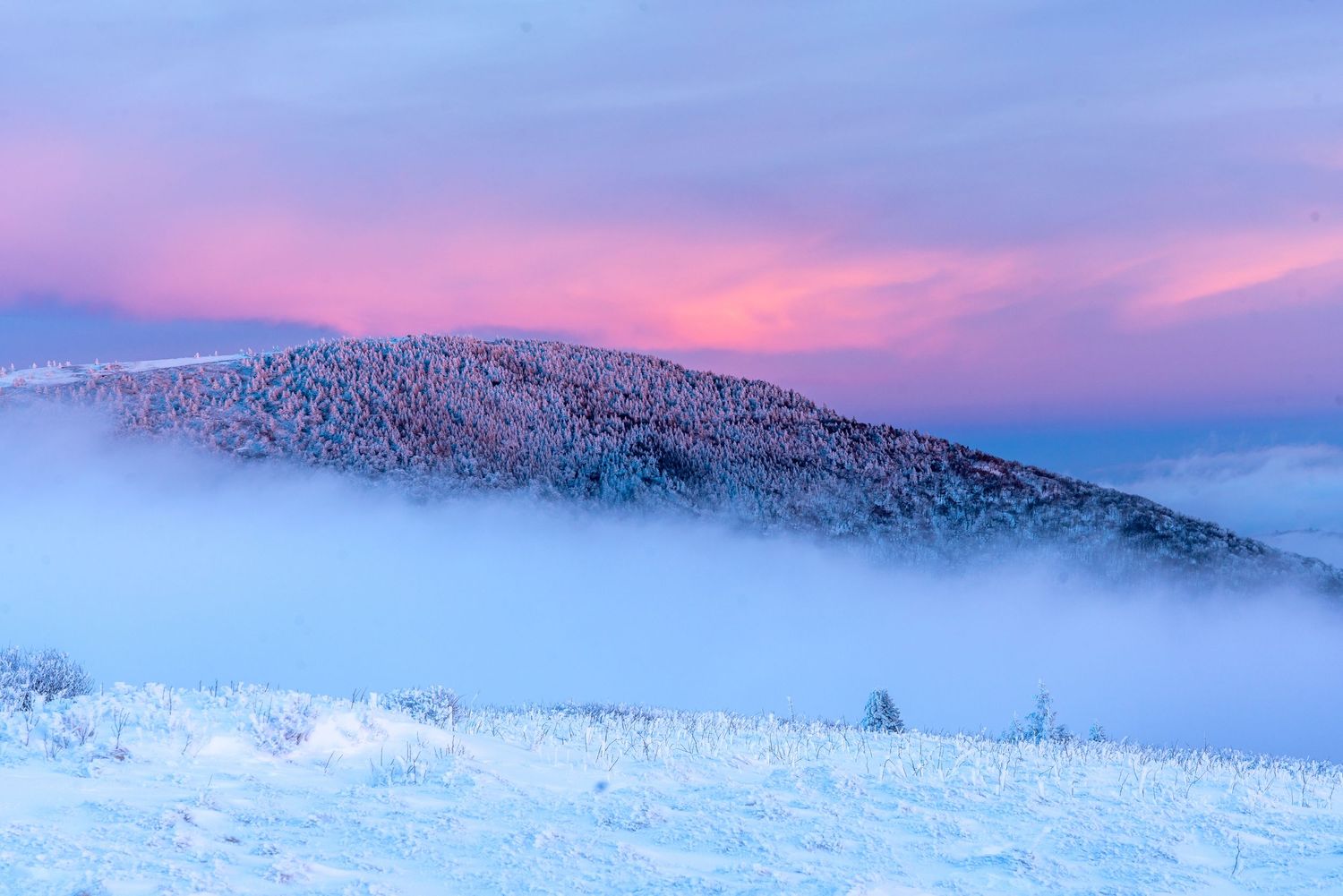 Snow-covered winter landscape at sunset with pink and purple sky, misty fog rolling over a frost-covered mountain hill.