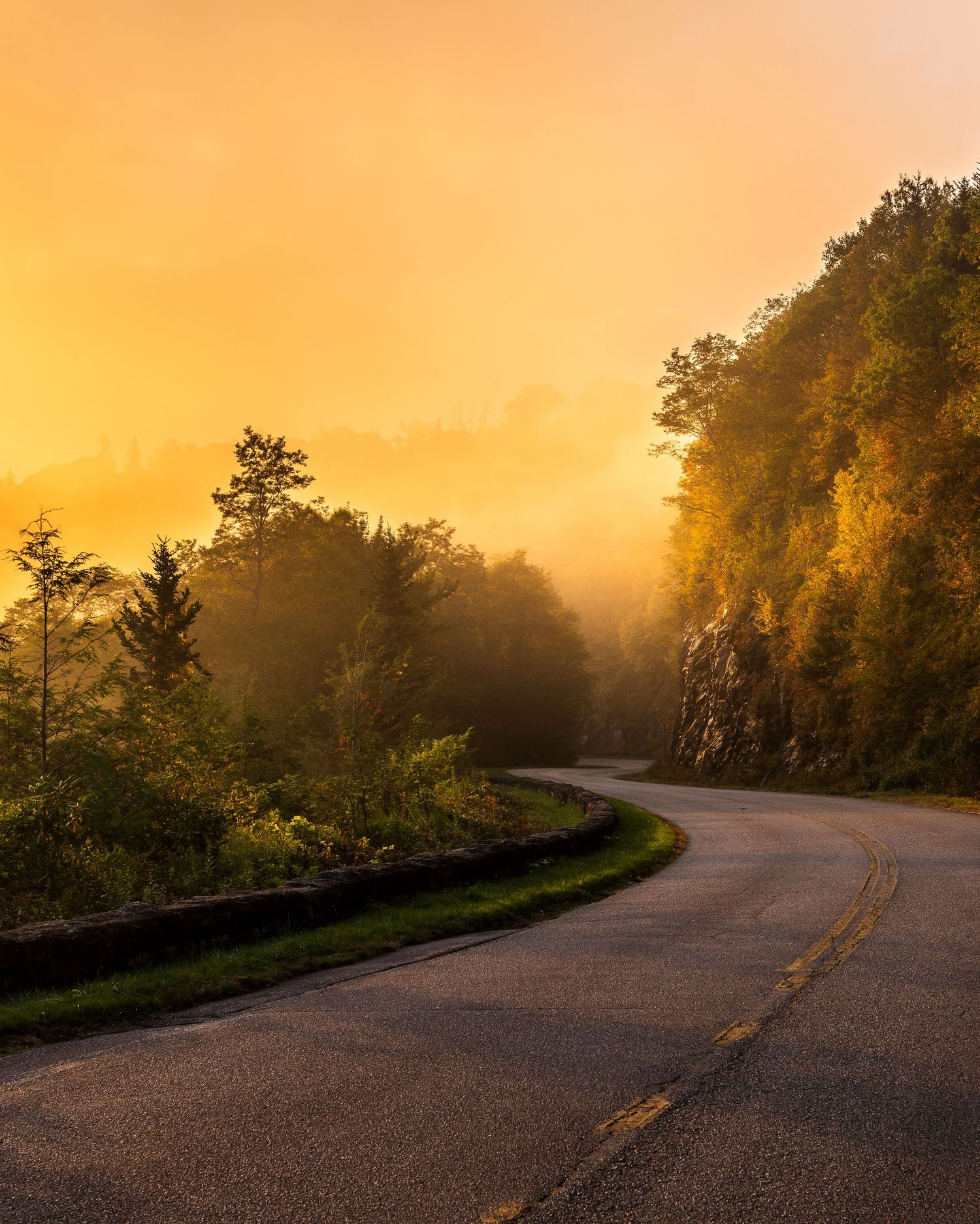 Winding road through misty forest bathed in golden sunrise light, with fog rolling through trees in autumn.