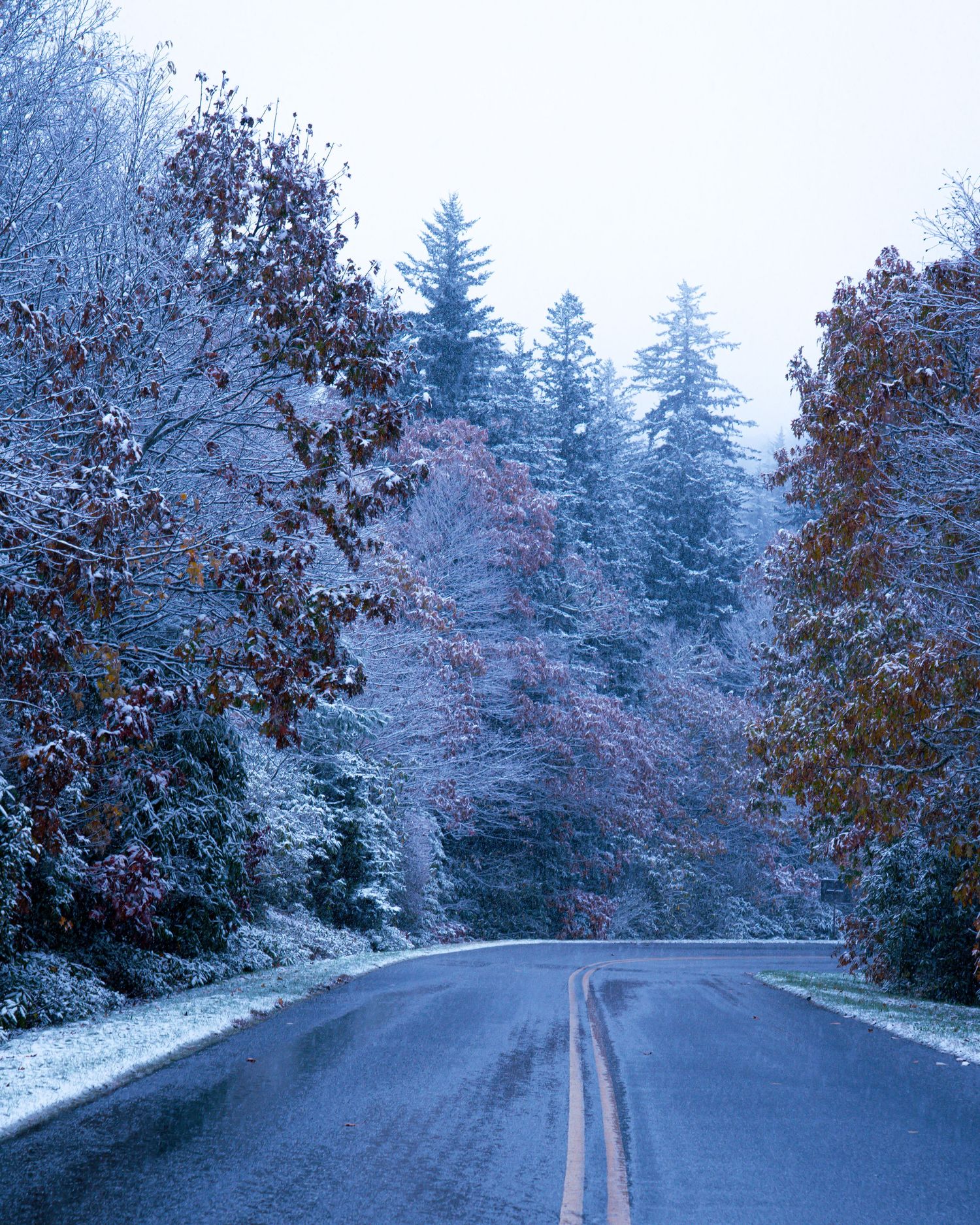 Snow-dusted trees line a winding two-lane road in winter, with colorful autumn leaves still visible beneath the frost.