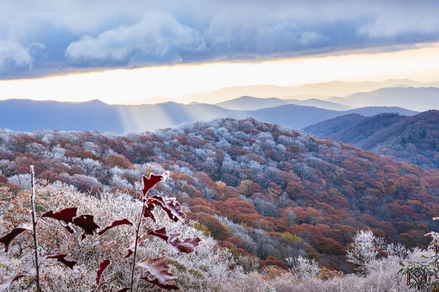 Frost-covered trees and colorful autumn foliage blanket the Appalachian Mountains at sunrise with dramatic clouds overhead.