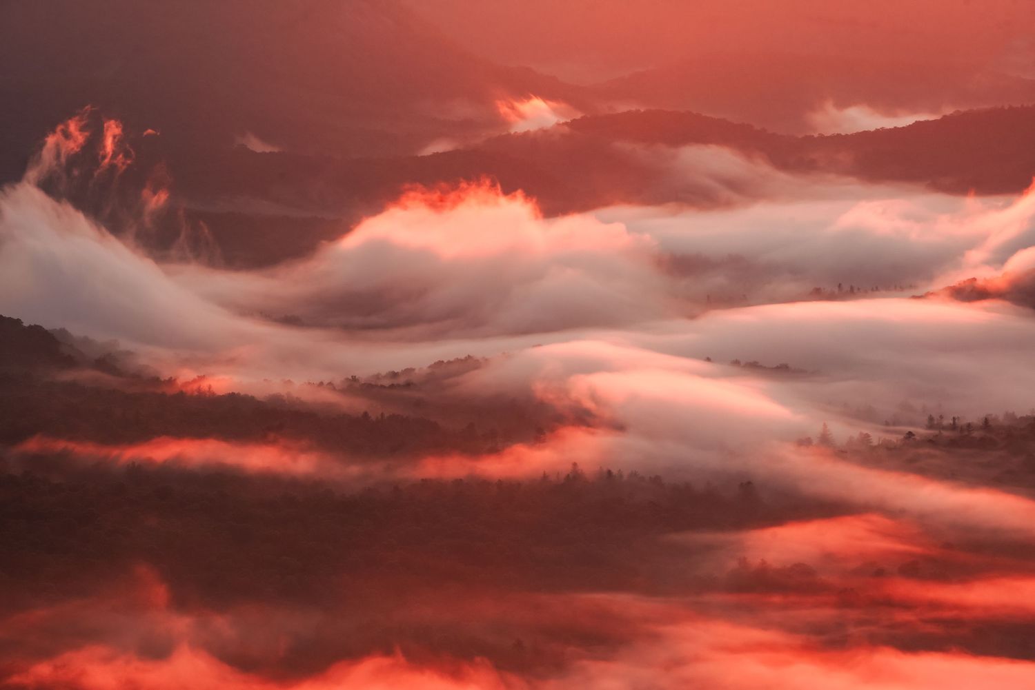 Dramatic red sunrise over misty mountain valleys with rolling clouds glowing in vibrant crimson hues. Pisgah National Forest.