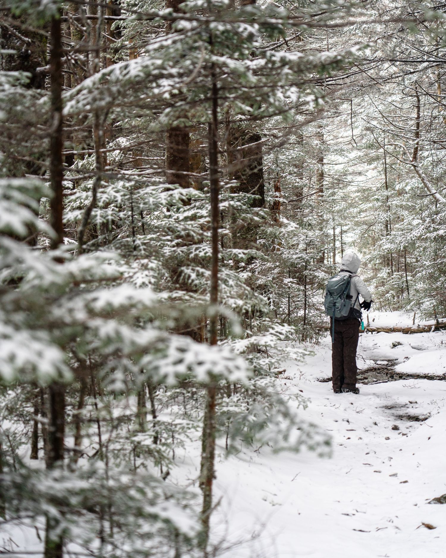 A lone hiker with a backpack walks through a snow-covered winter forest with pine trees dusted in white snow.