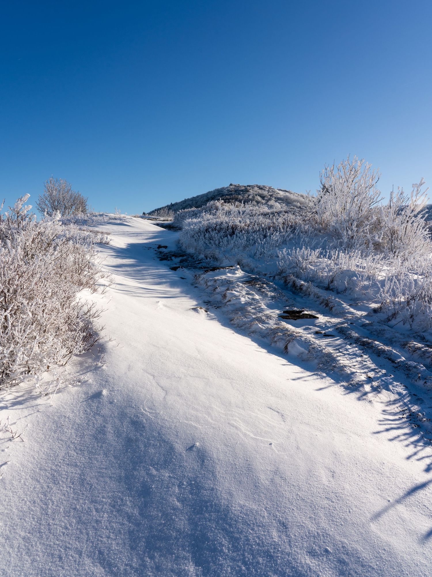 Snow-covered winter trail winds through frost-laden shrubs toward a mountain peak under a vivid blue sky.