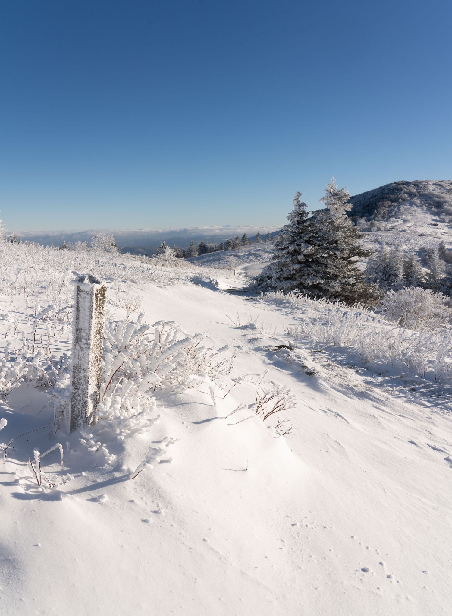 Snow-covered mountain trail with frost-laden shrubs, evergreen trees, and a clear blue sky in a serene winter landscape.