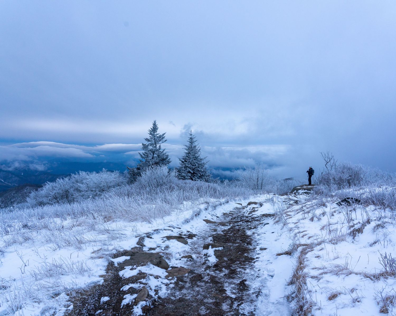 Lone hiker standing on a snow-covered mountain trail beside frost-covered evergreen trees.