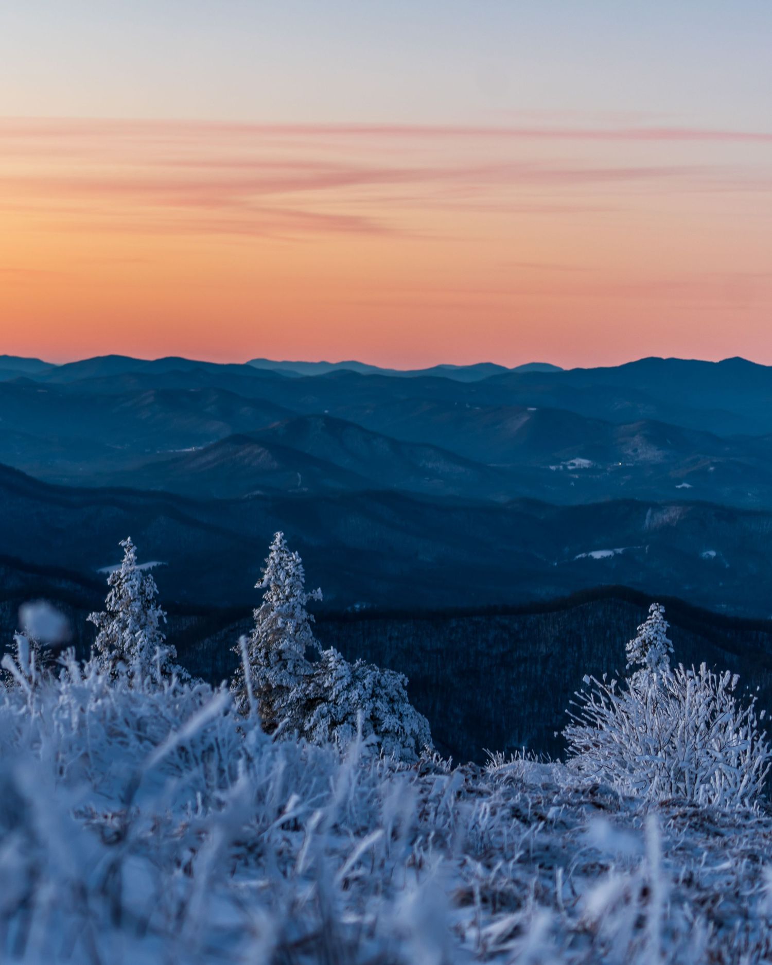 Frost-covered trees in foreground with layered blue mountain ridges and vibrant orange sunset sky in winter landscape.