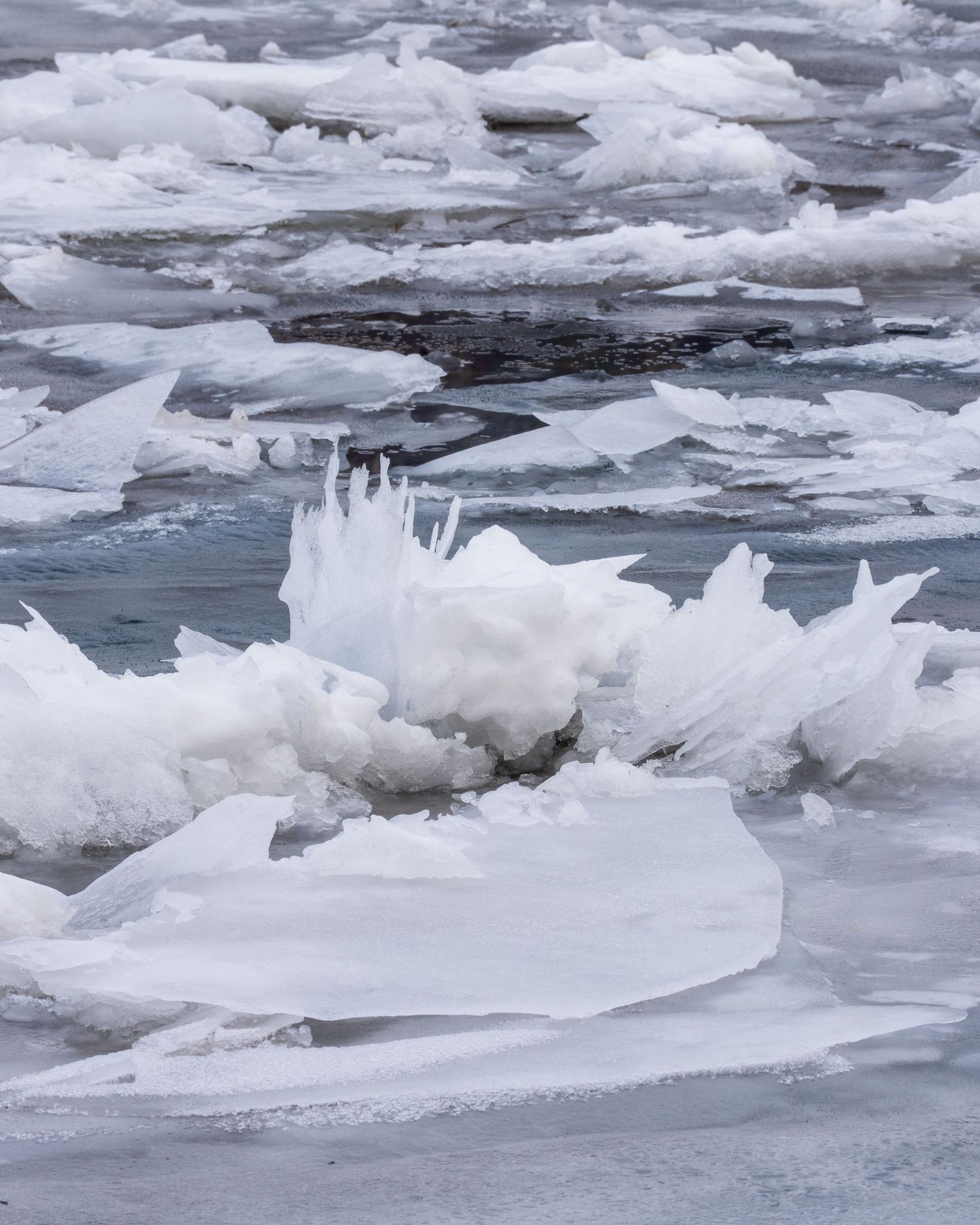 Jagged ice formations rise dramatically from frozen ice floes on a partially frozen winter waterway along the French Broad River.