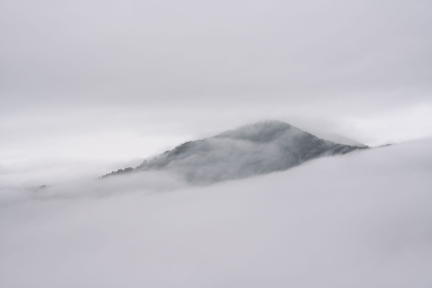 A mountaintop rising from a thick cloud inversion.
