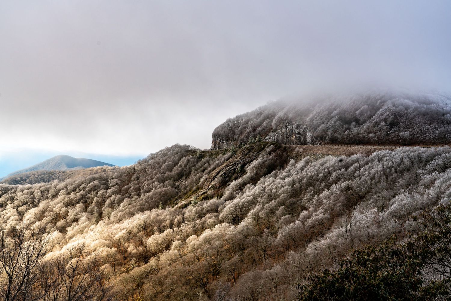 Frost-covered trees blanket a mountain ridge under a cloudy winter sky in a serene landscape.