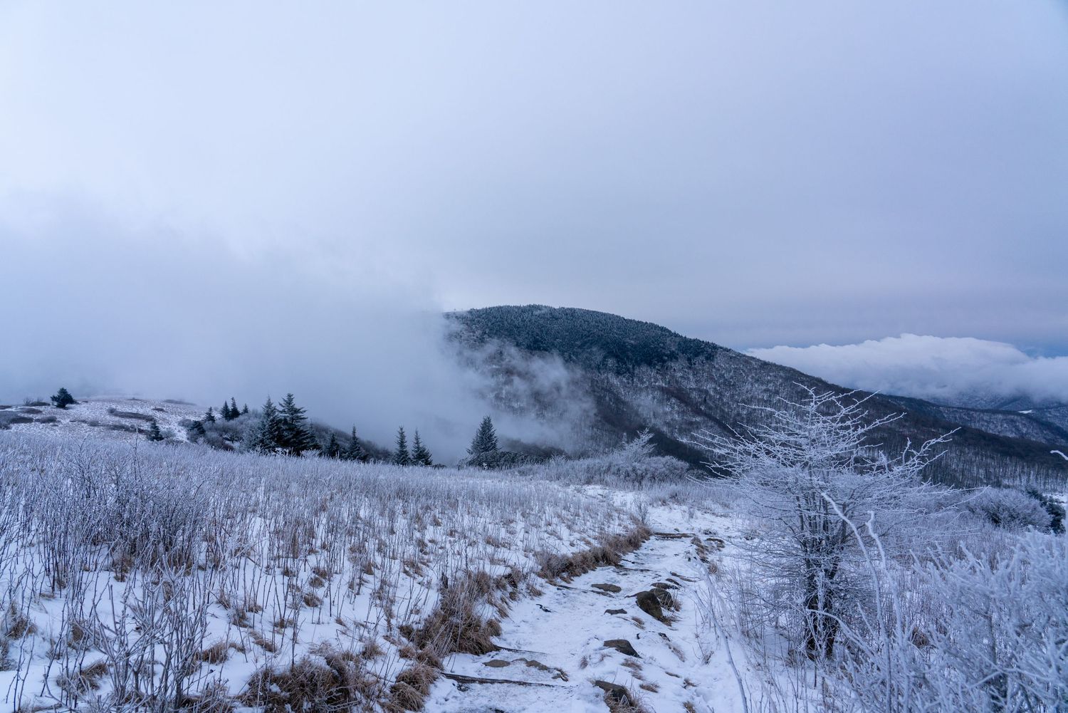 Snow-covered mountain trail winding through frost-covered trees under a cloudy winter sky.