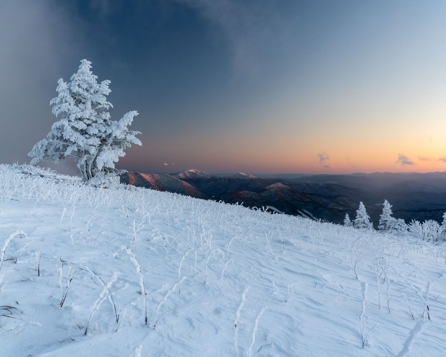 Snow-covered mountain slope at sunset with frost-laden evergreen trees and panoramic winter landscape views.