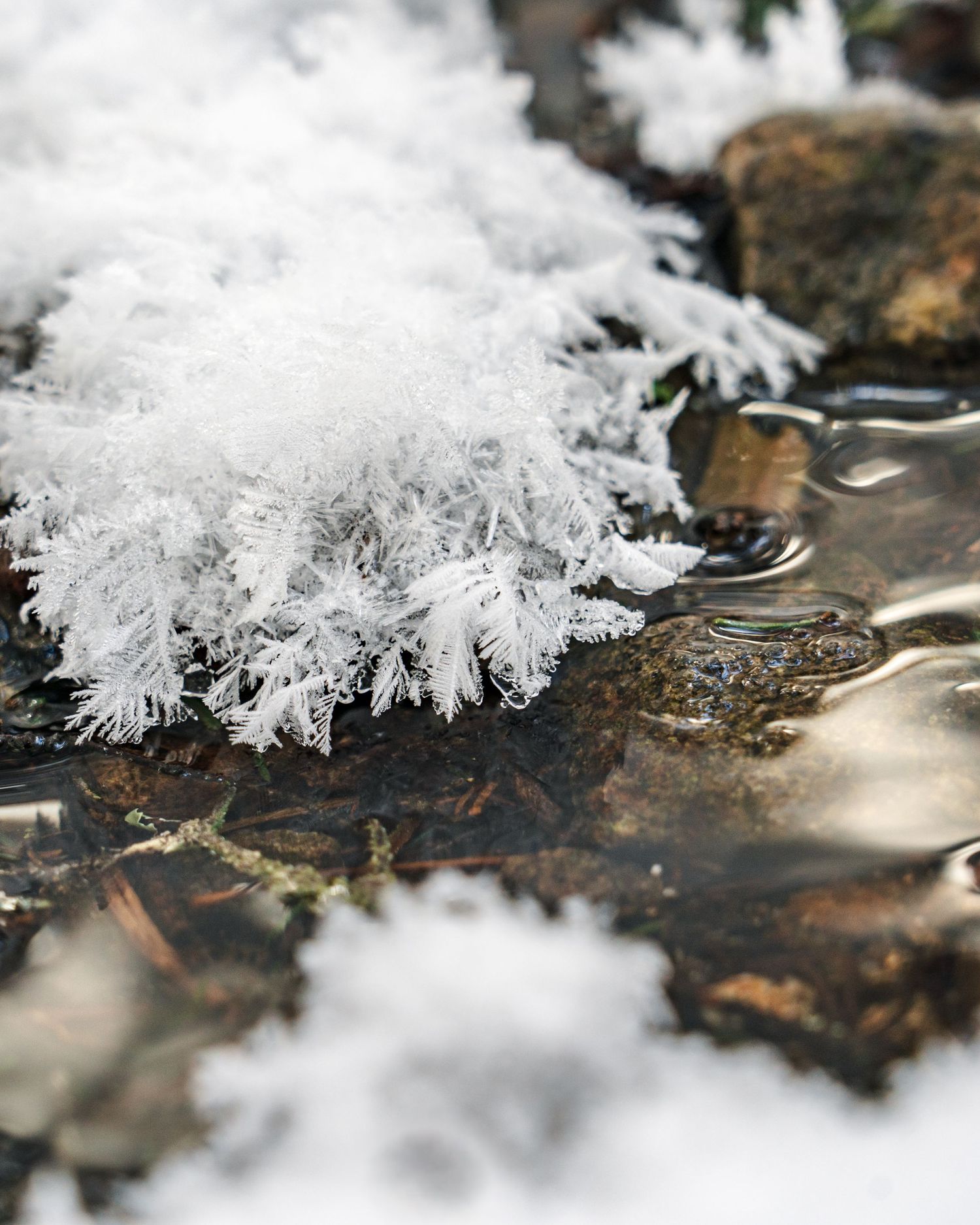 Ice Crystals