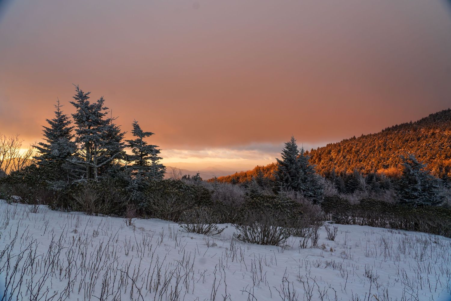 Snow-covered winter landscape at sunset with frost-tipped evergreen trees and warm orange sky over a forested mountain.